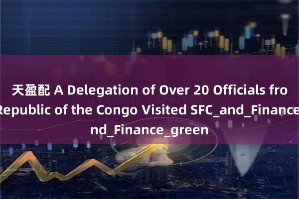 天盈配 A Delegation of Over 20 Officials from the Republic of the Congo Visited SFC_and_Finance_green