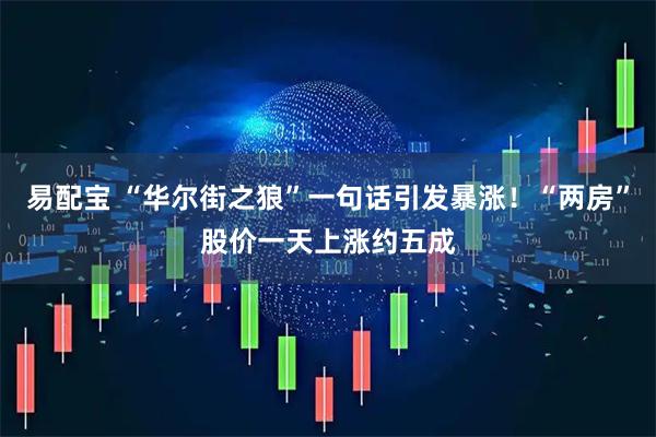 易配宝 “华尔街之狼”一句话引发暴涨！“两房”股价一天上涨约五成