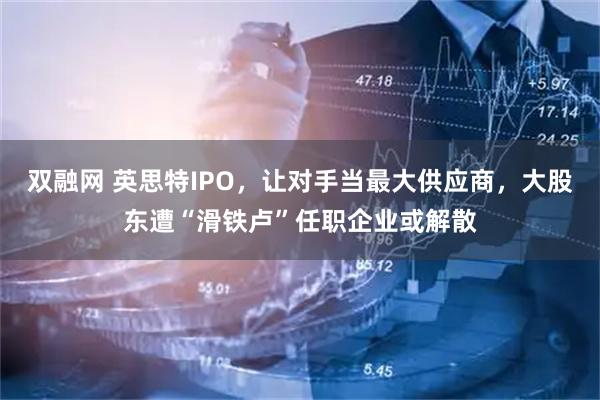 双融网 英思特IPO,让对手当最大供应商,大股东遭“滑铁卢”任职企业或解散